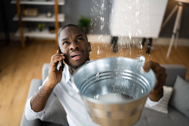 Best Water damage restoration near me  in Punxsutawney, PA