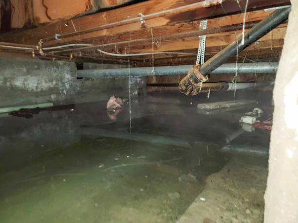 Best Commercial water damage restoration  in Punxsutawney, PA