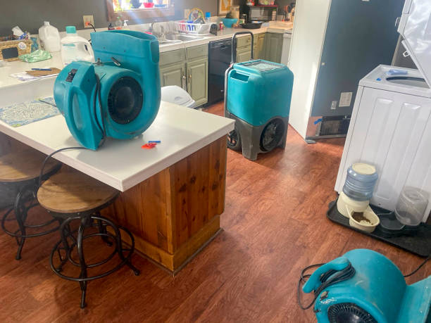 Best Flood damage cleanup  in Punxsutawney, PA