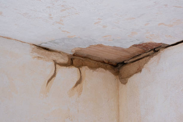 Best Water damage cleanup near me  in Punxsutawney, PA