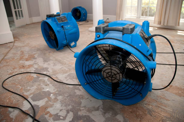 Best Local water damage restoration  in Punxsutawney, PA